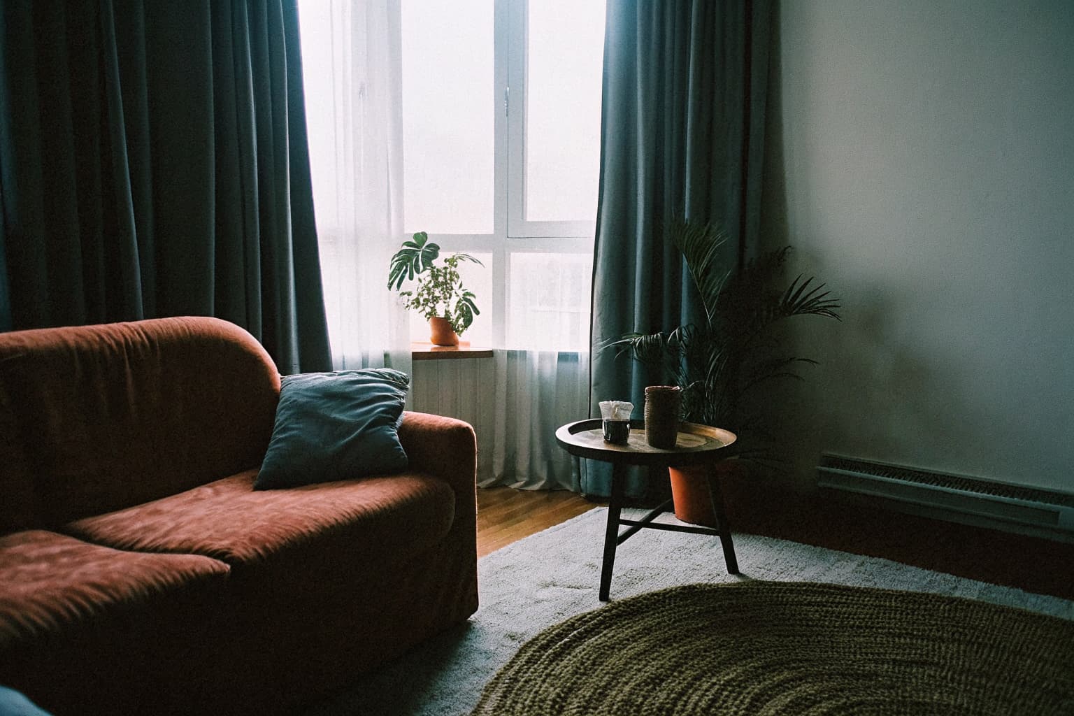 Calm yin-balanced living room with soft curtains, plants, and muted tones