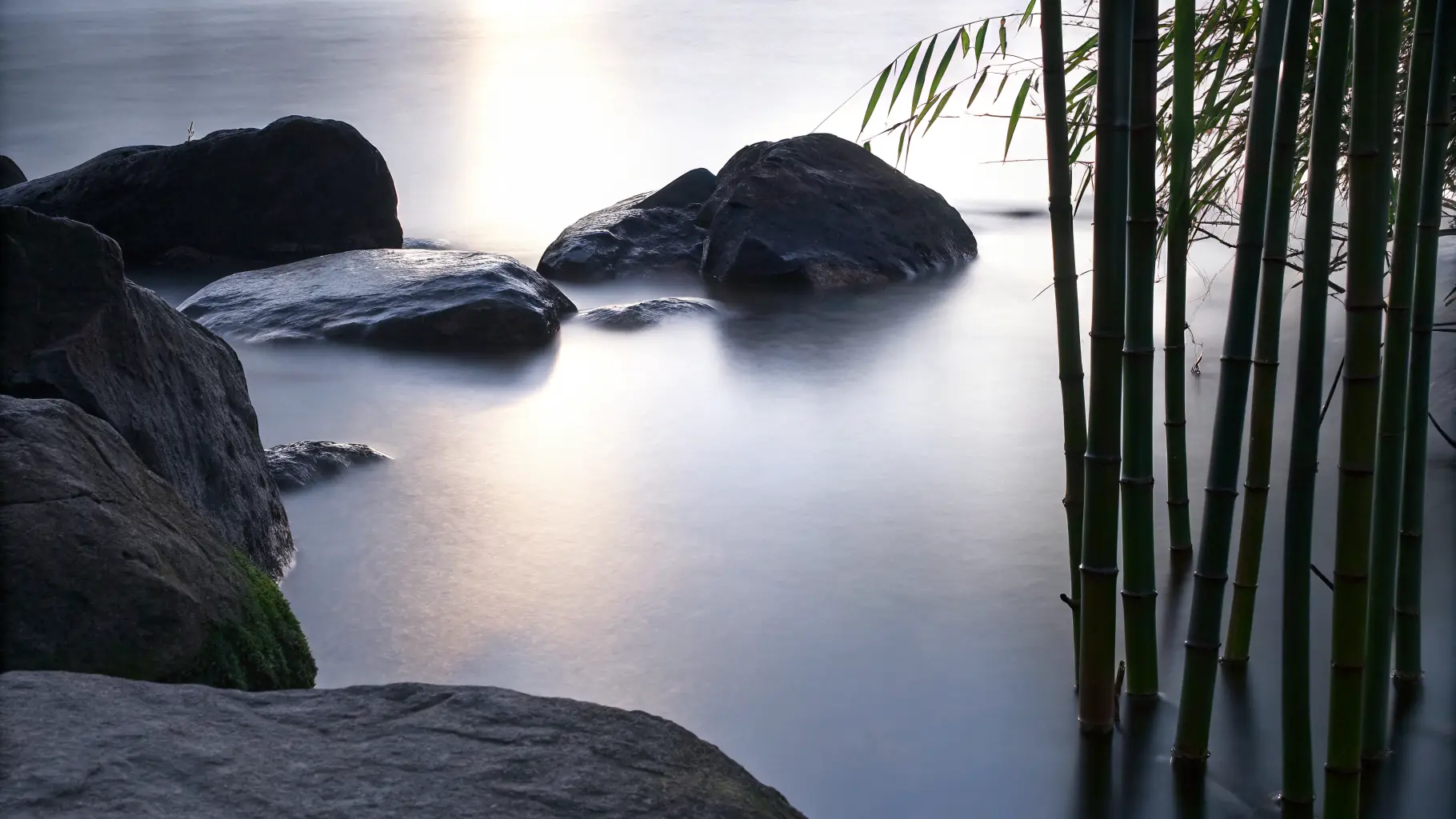 Harmonious garden with water feature representing feng shui principles